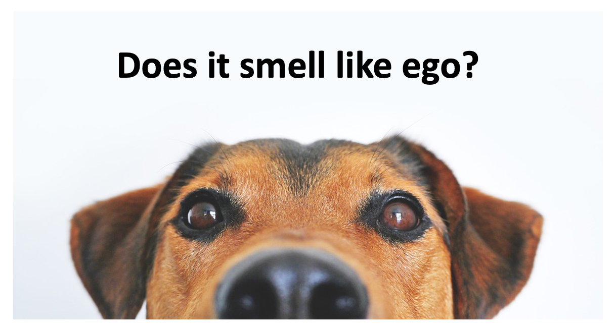 Pause – can you smell ego?